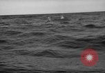 Standbild Fischer Zeile a Dory Massachusetts United States USA, 1935, aus Sekunde 44 historischem Filmmaterial Videoclip 65675046870