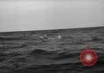 Standbild Fischer Zeile a Dory Massachusetts United States USA, 1935, aus Sekunde 45 historischem Filmmaterial Videoclip 65675046870