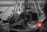 Standbild Wiegen von Fischen Gloucester Massachusetts USA, 1935, aus Sekunde 10 historischem Filmmaterial Videoclip 65675046871