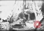 Standbild Wiegen von Fischen Gloucester Massachusetts USA, 1935, aus Sekunde 11 historischem Filmmaterial Videoclip 65675046871