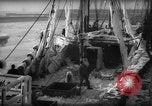 Standbild Wiegen von Fischen Gloucester Massachusetts USA, 1935, aus Sekunde 12 historischem Filmmaterial Videoclip 65675046871