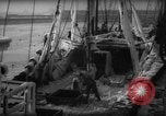 Standbild Wiegen von Fischen Gloucester Massachusetts USA, 1935, aus Sekunde 14 historischem Filmmaterial Videoclip 65675046871
