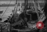 Standbild Wiegen von Fischen Gloucester Massachusetts USA, 1935, aus Sekunde 15 historischem Filmmaterial Videoclip 65675046871