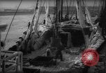 Standbild Wiegen von Fischen Gloucester Massachusetts USA, 1935, aus Sekunde 17 historischem Filmmaterial Videoclip 65675046871