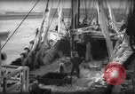 Standbild Wiegen von Fischen Gloucester Massachusetts USA, 1935, aus Sekunde 23 historischem Filmmaterial Videoclip 65675046871