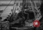Standbild Wiegen von Fischen Gloucester Massachusetts USA, 1935, aus Sekunde 24 historischem Filmmaterial Videoclip 65675046871