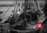 Standbild Wiegen von Fischen Gloucester Massachusetts USA, 1935, aus Sekunde 26 historischem Filmmaterial Videoclip 65675046871