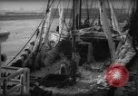 Standbild Wiegen von Fischen Gloucester Massachusetts USA, 1935, aus Sekunde 28 historischem Filmmaterial Videoclip 65675046871