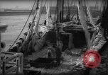 Standbild Wiegen von Fischen Gloucester Massachusetts USA, 1935, aus Sekunde 29 historischem Filmmaterial Videoclip 65675046871