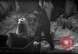 Standbild Wiegen von Fischen Gloucester Massachusetts USA, 1935, aus Sekunde 32 historischem Filmmaterial Videoclip 65675046871