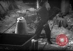 Standbild Wiegen von Fischen Gloucester Massachusetts USA, 1935, aus Sekunde 34 historischem Filmmaterial Videoclip 65675046871
