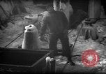 Standbild Wiegen von Fischen Gloucester Massachusetts USA, 1935, aus Sekunde 35 historischem Filmmaterial Videoclip 65675046871