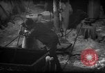 Standbild Wiegen von Fischen Gloucester Massachusetts USA, 1935, aus Sekunde 39 historischem Filmmaterial Videoclip 65675046871