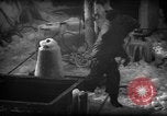 Standbild Wiegen von Fischen Gloucester Massachusetts USA, 1935, aus Sekunde 42 historischem Filmmaterial Videoclip 65675046871