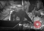 Standbild Wiegen von Fischen Gloucester Massachusetts USA, 1935, aus Sekunde 47 historischem Filmmaterial Videoclip 65675046871