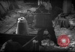 Standbild Wiegen von Fischen Gloucester Massachusetts USA, 1935, aus Sekunde 49 historischem Filmmaterial Videoclip 65675046871