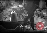 Standbild Wiegen von Fischen Gloucester Massachusetts USA, 1935, aus Sekunde 61 historischem Filmmaterial Videoclip 65675046871