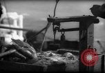 Standbild Fischern Fänge gewogen Gloucester Massachusetts USA, 1935, aus Sekunde 6 historischem Filmmaterial Videoclip 65675046872