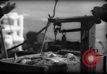 Standbild Fischern Fänge gewogen Gloucester Massachusetts USA, 1935, aus Sekunde 7 historischem Filmmaterial Videoclip 65675046872