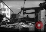 Standbild Fischern Fänge gewogen Gloucester Massachusetts USA, 1935, aus Sekunde 8 historischem Filmmaterial Videoclip 65675046872