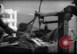 Standbild Fischern Fänge gewogen Gloucester Massachusetts USA, 1935, aus Sekunde 9 historischem Filmmaterial Videoclip 65675046872