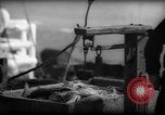 Standbild Fischern Fänge gewogen Gloucester Massachusetts USA, 1935, aus Sekunde 10 historischem Filmmaterial Videoclip 65675046872