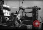 Standbild Fischern Fänge gewogen Gloucester Massachusetts USA, 1935, aus Sekunde 14 historischem Filmmaterial Videoclip 65675046872
