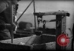 Standbild Fischern Fänge gewogen Gloucester Massachusetts USA, 1935, aus Sekunde 19 historischem Filmmaterial Videoclip 65675046872