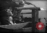 Standbild Fischern Fänge gewogen Gloucester Massachusetts USA, 1935, aus Sekunde 33 historischem Filmmaterial Videoclip 65675046872