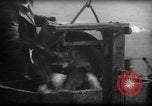 Standbild Fischern Fänge gewogen Gloucester Massachusetts USA, 1935, aus Sekunde 35 historischem Filmmaterial Videoclip 65675046872