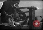 Standbild Fischern Fänge gewogen Gloucester Massachusetts USA, 1935, aus Sekunde 38 historischem Filmmaterial Videoclip 65675046872