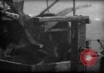 Standbild Fischern Fänge gewogen Gloucester Massachusetts USA, 1935, aus Sekunde 46 historischem Filmmaterial Videoclip 65675046872