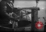 Standbild Fischern Fänge gewogen Gloucester Massachusetts USA, 1935, aus Sekunde 47 historischem Filmmaterial Videoclip 65675046872