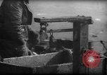 Standbild Fischern Fänge gewogen Gloucester Massachusetts USA, 1935, aus Sekunde 50 historischem Filmmaterial Videoclip 65675046872