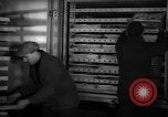 Image of fresh fish placed in refrigerated truck United States USA, 1935, second 7 stock footage video 65675046873