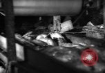 Image of fish being packed Boston Massachusetts USA, 1935, second 55 stock footage video 65675046874