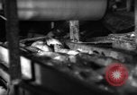 Image of fish being packed Boston Massachusetts USA, 1935, second 58 stock footage video 65675046874