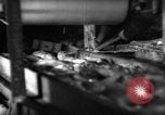 Image of fish being packed Boston Massachusetts USA, 1935, second 59 stock footage video 65675046874