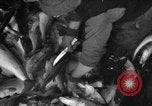 Immagine di La pesca Massachusetts USA, 1935, secondo 41 filmato di repertorio 65675046880