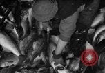Immagine di La pesca Massachusetts USA, 1935, secondo 43 filmato di repertorio 65675046880