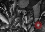 Immagine di La pesca Massachusetts USA, 1935, secondo 46 filmato di repertorio 65675046880
