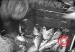 Immagine di La pesca Massachusetts USA, 1935, secondo 55 filmato di repertorio 65675046880