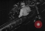 Immagine di Pesca Commmercial Massachusetts USA, 1935, secondo 6 filmato di repertorio 65675046881