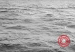 Immagine di Pesca Commmercial Massachusetts USA, 1935, secondo 45 filmato di repertorio 65675046881