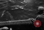 Immagine di Pesca Commmercial Massachusetts USA, 1935, secondo 48 filmato di repertorio 65675046881