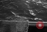 Immagine di Pesca Commmercial Massachusetts USA, 1935, secondo 55 filmato di repertorio 65675046881