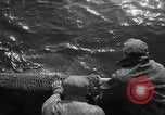 Immagine di Pesca Commmercial Massachusetts USA, 1935, secondo 56 filmato di repertorio 65675046881