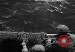 Immagine di Pesca Commmercial Massachusetts USA, 1935, secondo 58 filmato di repertorio 65675046881