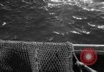 Immagine di Pesca Commmercial Massachusetts USA, 1935, secondo 61 filmato di repertorio 65675046881