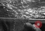 Immagine di Pesca Commmercial Massachusetts USA, 1935, secondo 62 filmato di repertorio 65675046881